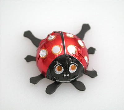 Ladybugs (1 Pound)