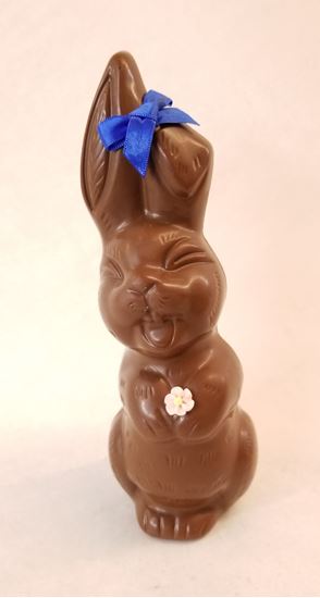 Picture of Laughing Bunny